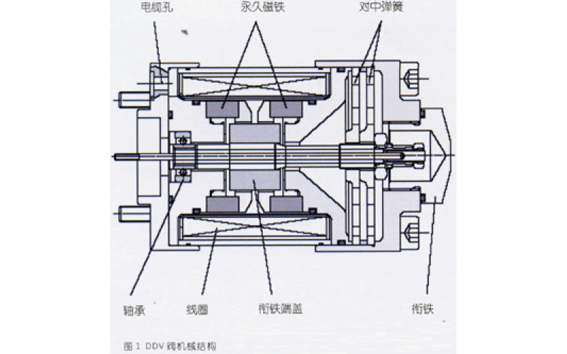 DDVMK体育（中国）介绍及其应用